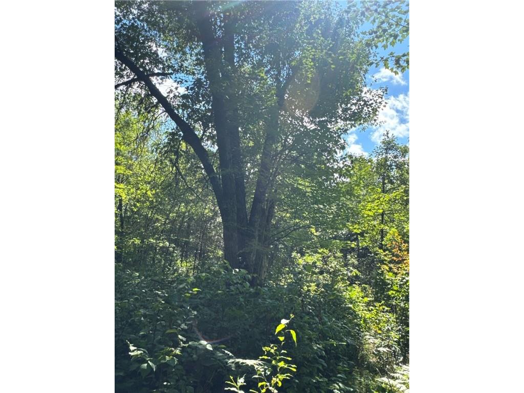 29031 French Road Danbury WI 54830 1595651 image21