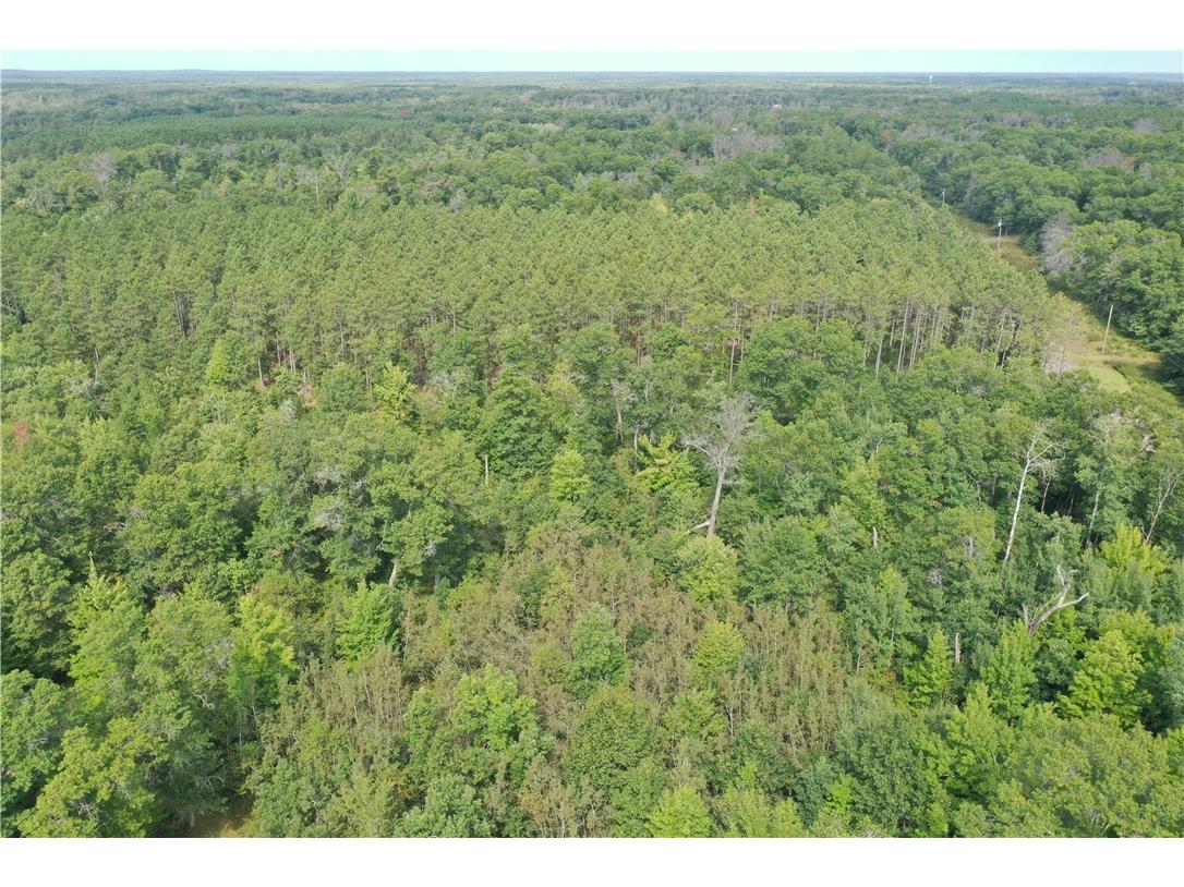 29031 French Road Danbury WI 54830 1595651 image28