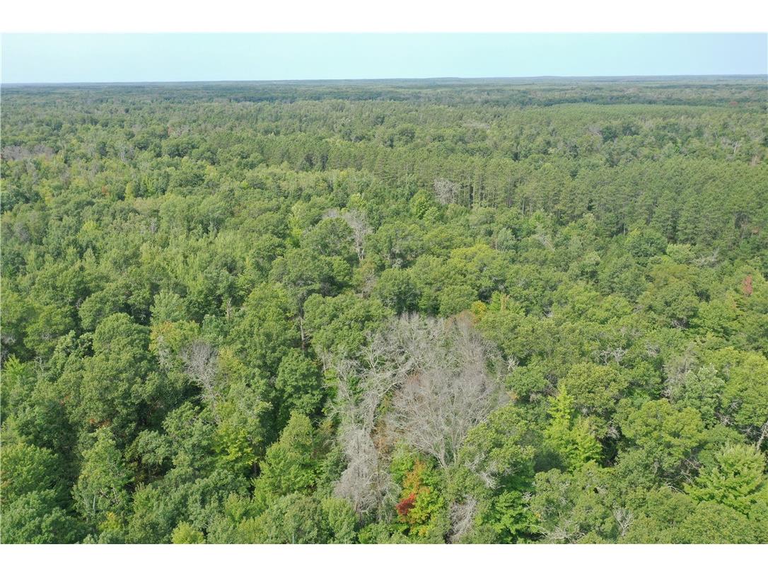29031 French Road Danbury WI 54830 1595651 image29