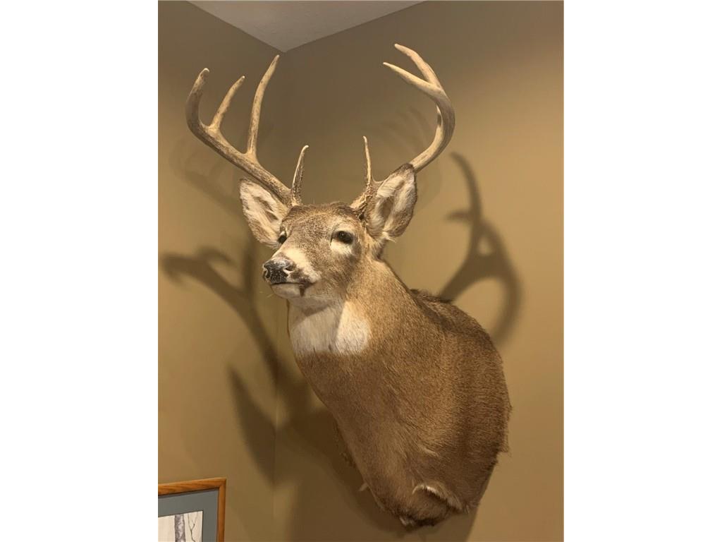 29031 French Road Danbury WI 54830 1595651 image33