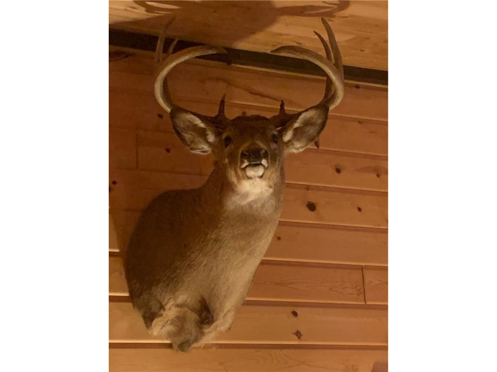 29031 French Road Danbury WI 54830 1595651 image34