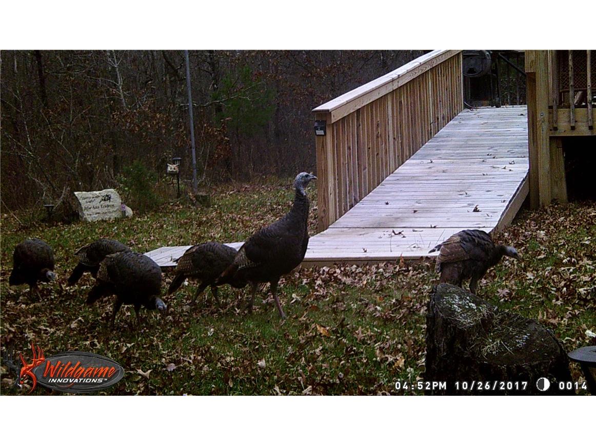 29031 French Road Danbury WI 54830 1595651 image36