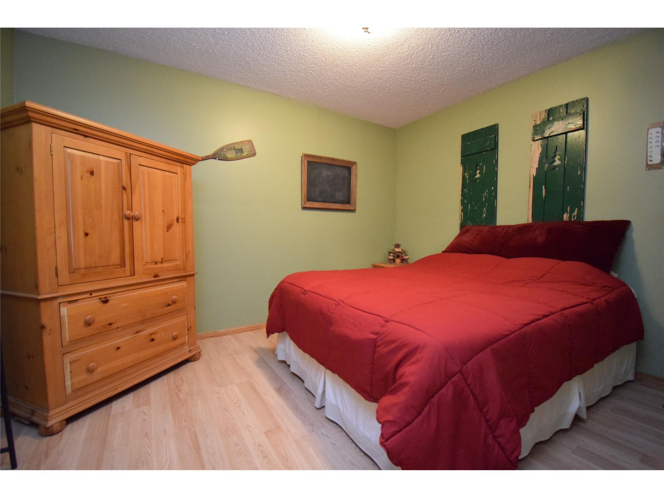 29174 French Road Danbury WI 54830 1599790 image32