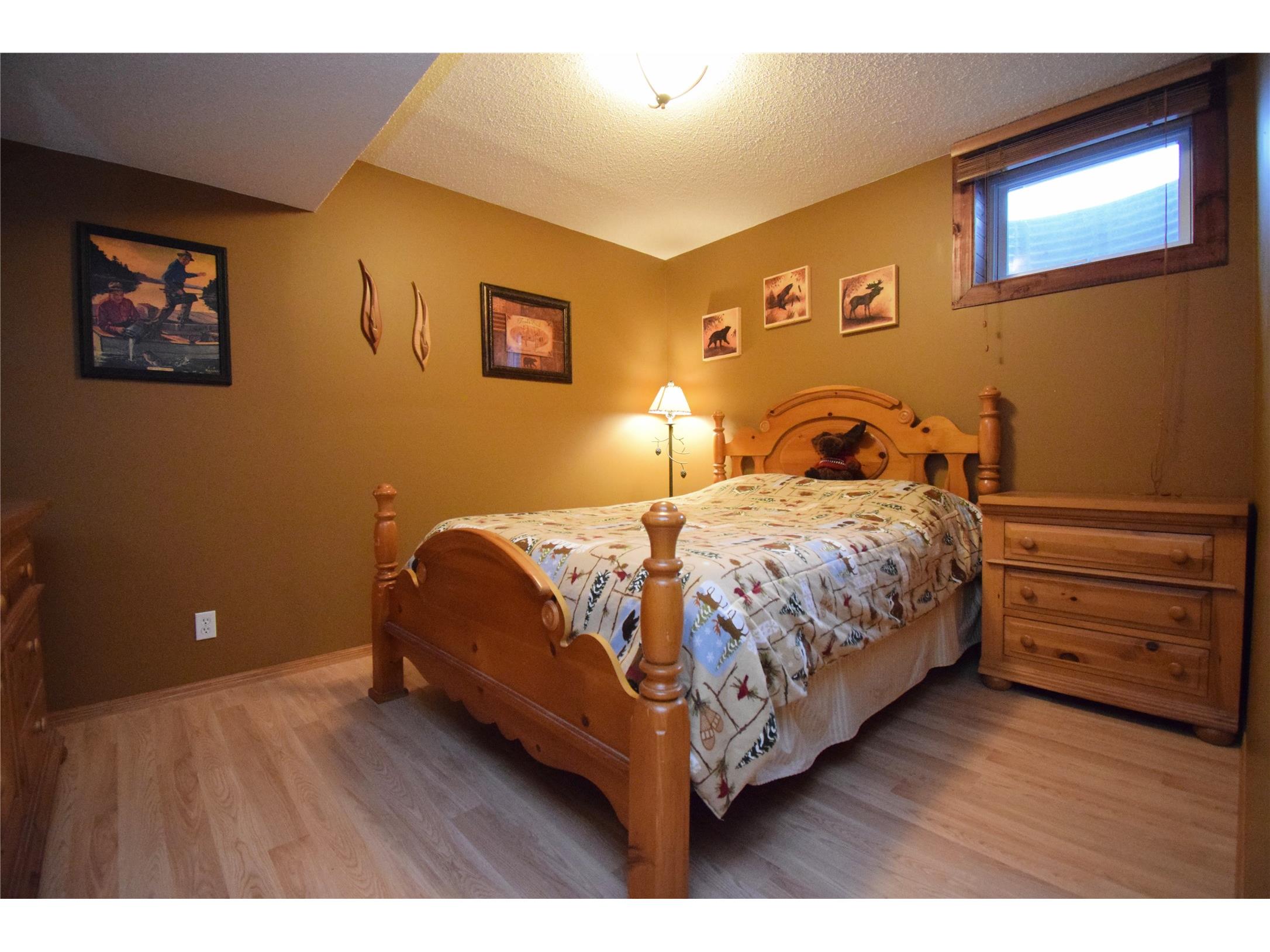 29174 French Road Danbury WI 54830 1599790 image34