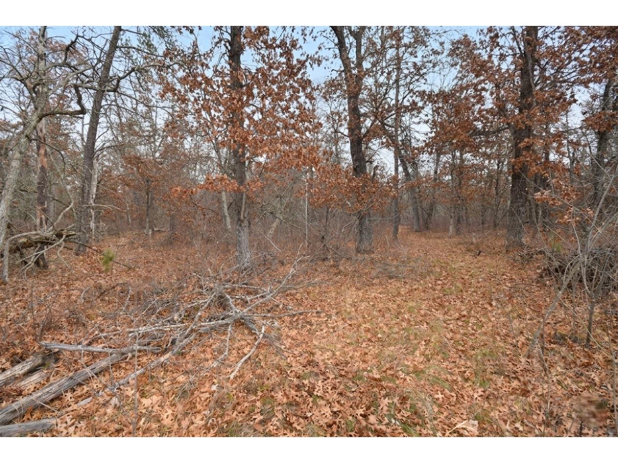 29174 French Road Danbury WI 54830 1599790 image50