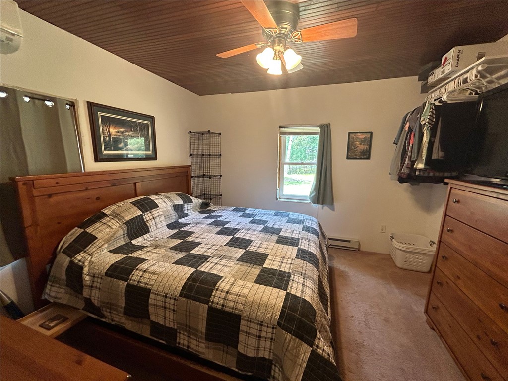 29184 Jana Road Danbury WI 54830 - Fish 1592847 image18