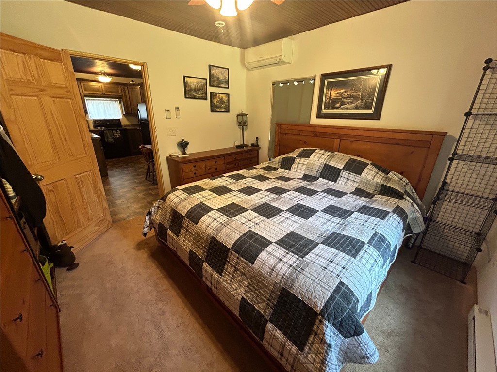 29184 Jana Road Danbury WI 54830 - Fish 1592847 image19