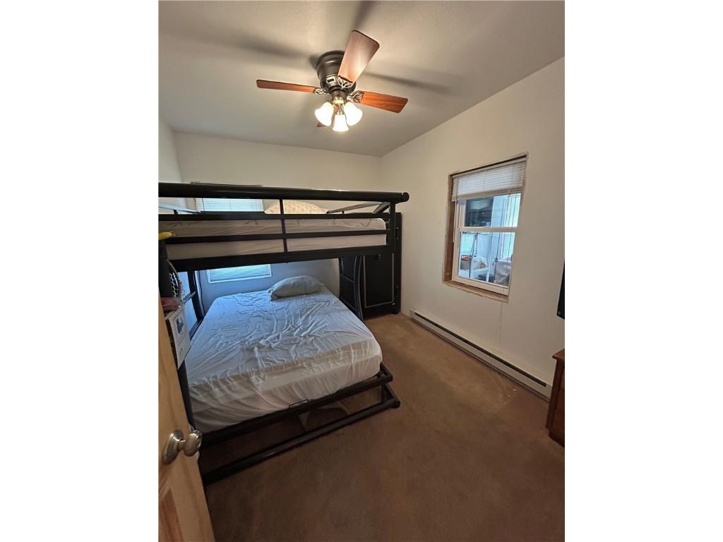 29184 Jana Road Danbury WI 54830 - Fish 1592847 image20