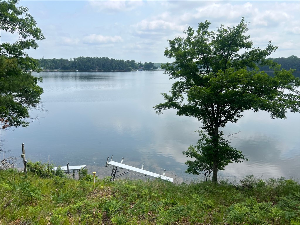 29184 Jana Road Danbury WI 54830 - Fish 1592847 image4