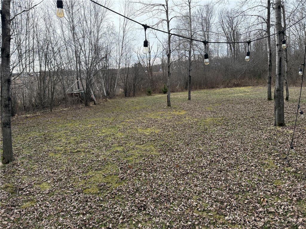 2931 28 7/8 Street Birchwood WI 54817 - Red Cedar 1590936 image16