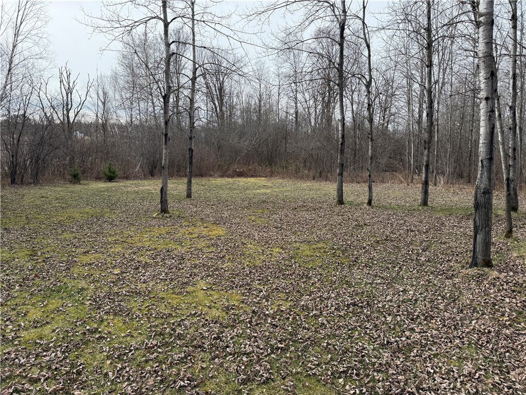 2931 28 7/8 Street Birchwood WI 54817 - Red Cedar 1590936 image17