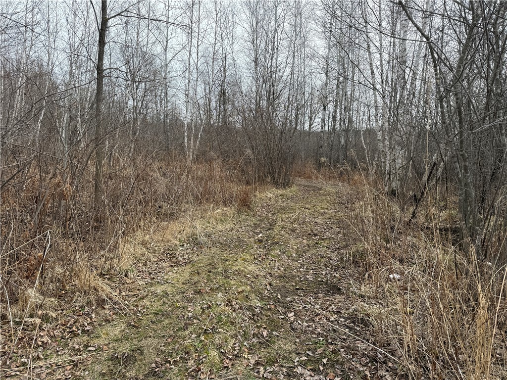 2931 28 7/8 Street Birchwood WI 54817 - Red Cedar 1590936 image37