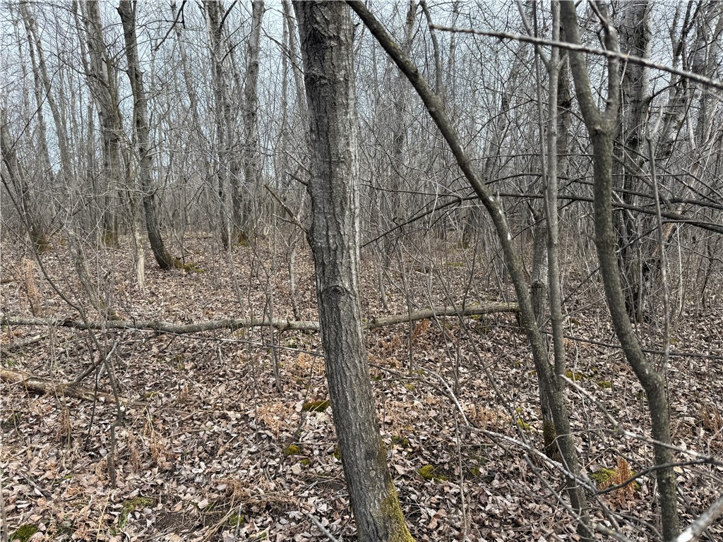 2931 28 7/8 Street Birchwood WI 54817 - Red Cedar 1590936 image38