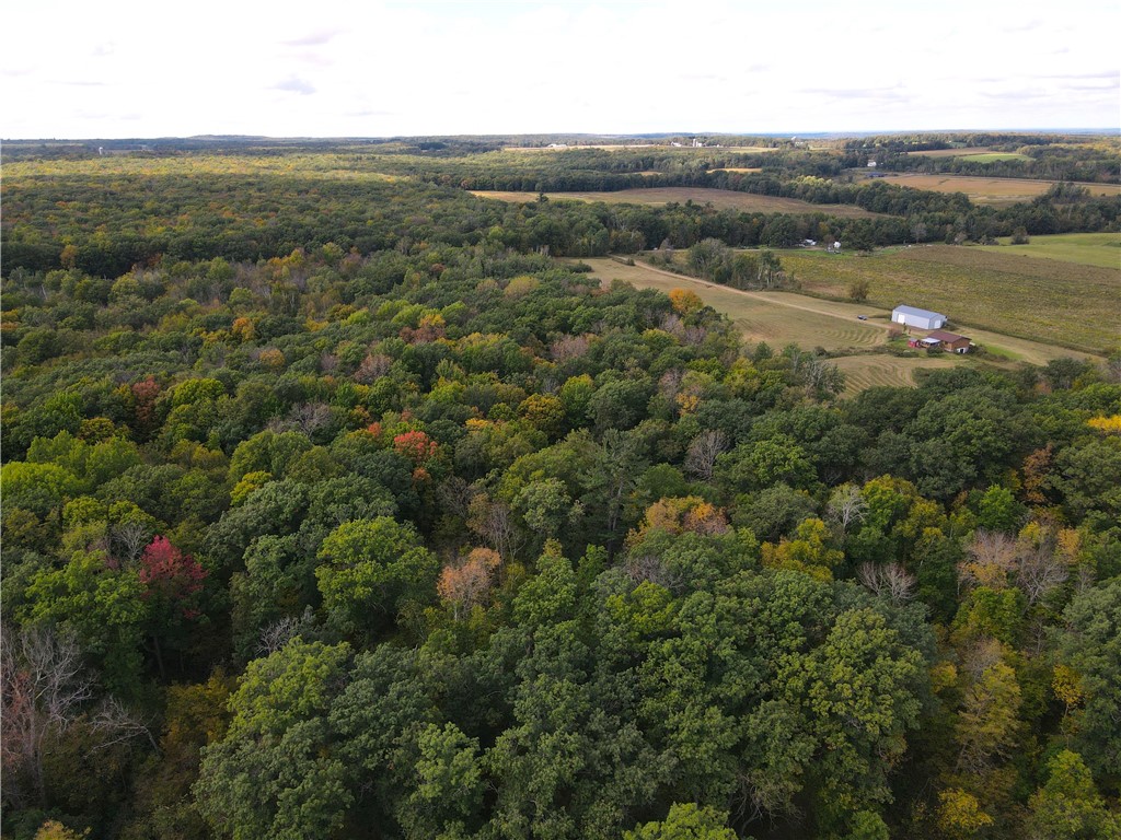 2952 90th Street Frederic WI 54837 1595758 image28