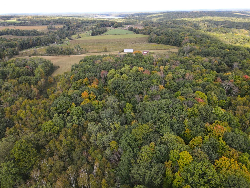 2952 90th Street Frederic WI 54837 1595758 image35