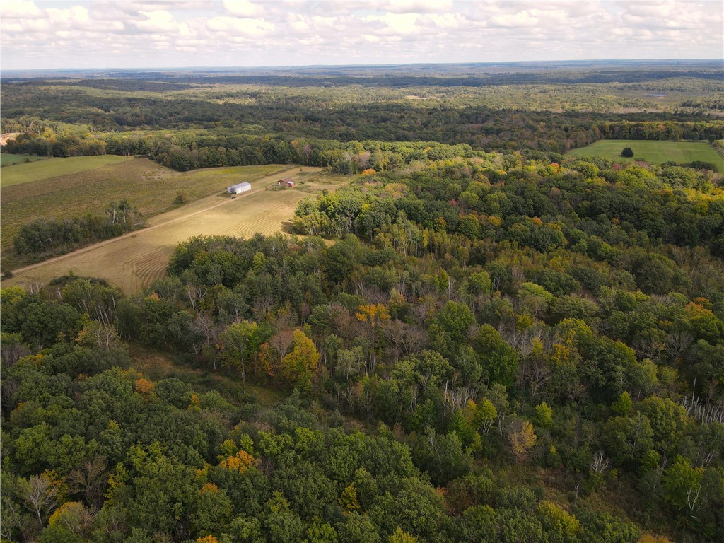 2952 90th Street Frederic WI 54837 1595758 image41