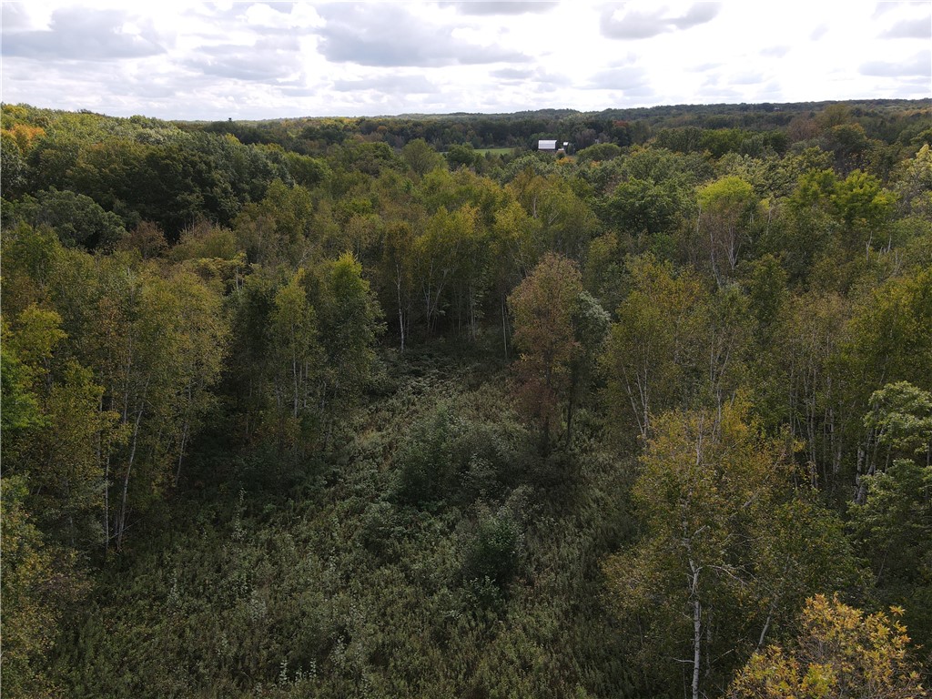 2952 90th Street Frederic WI 54837 1595758 image45