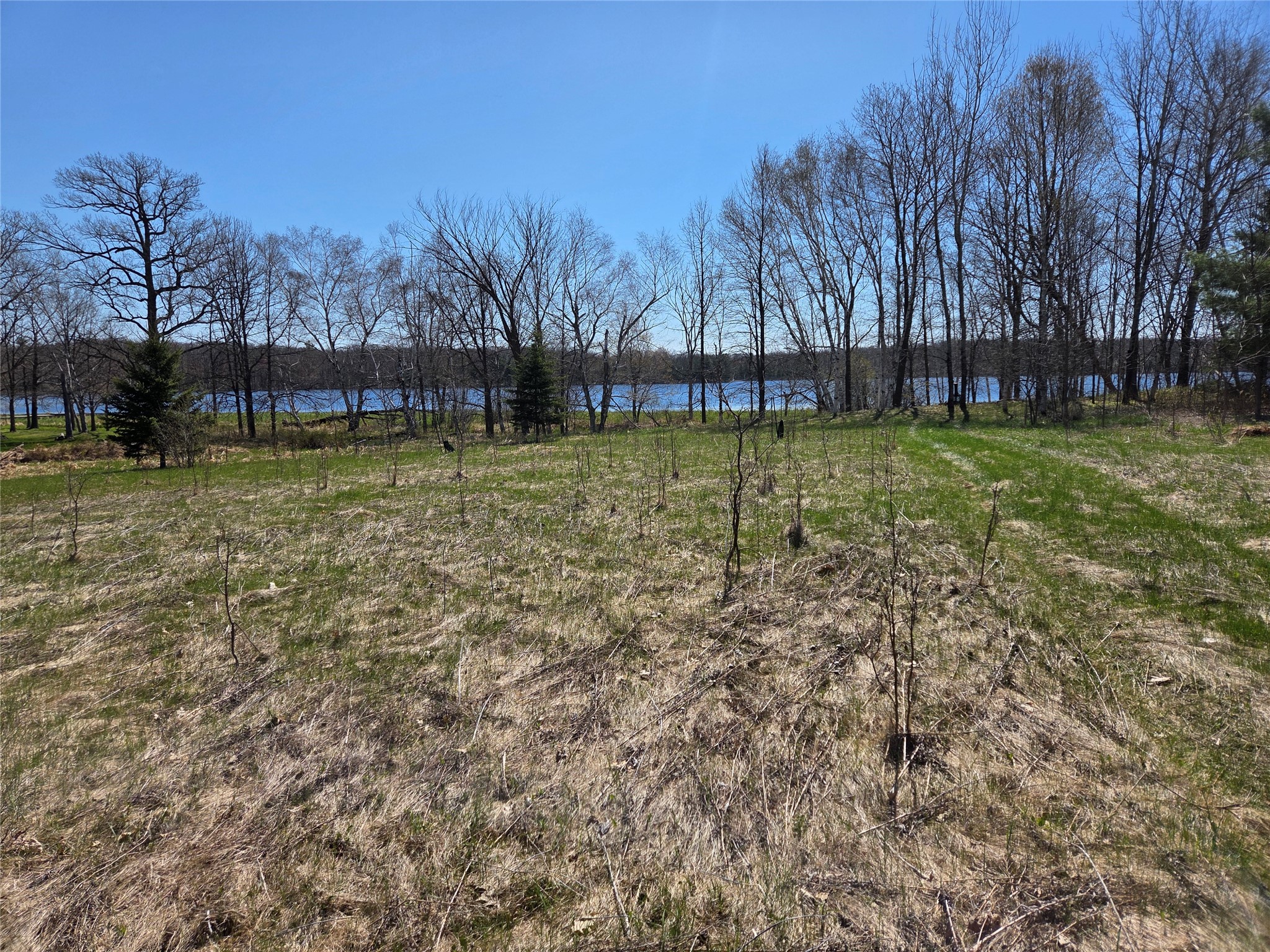 2975 12th Street Barronett WI 54813 - Butternut 1600774 image1