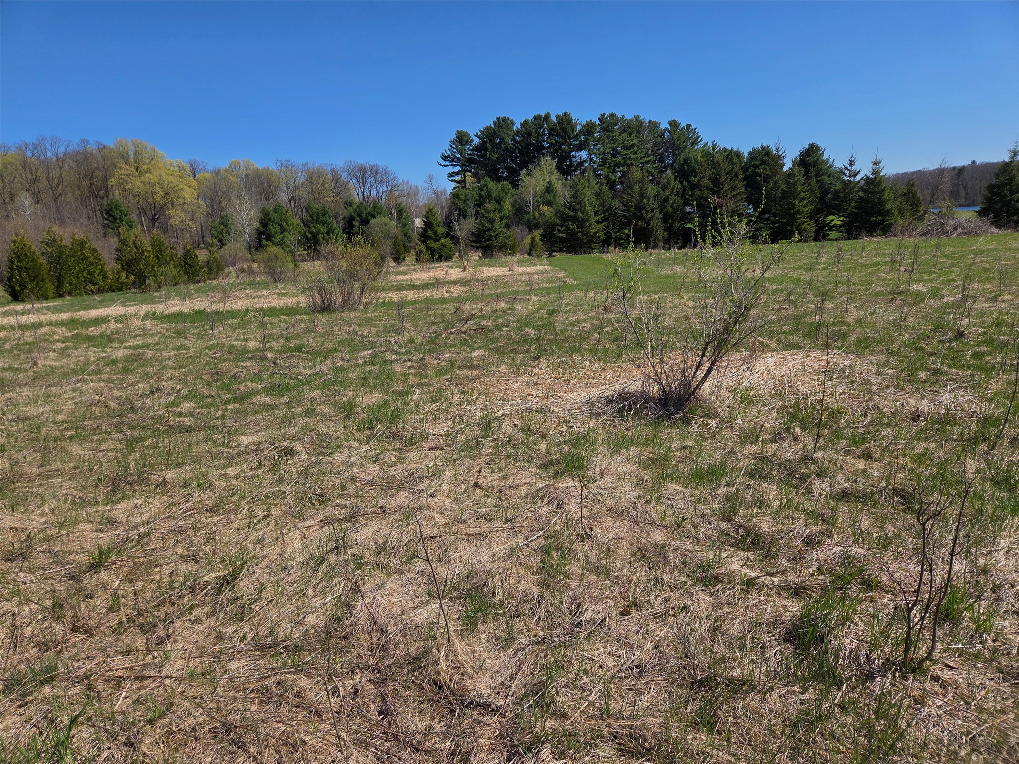 2975 12th Street Barronett WI 54813 - Butternut 1600774 image14