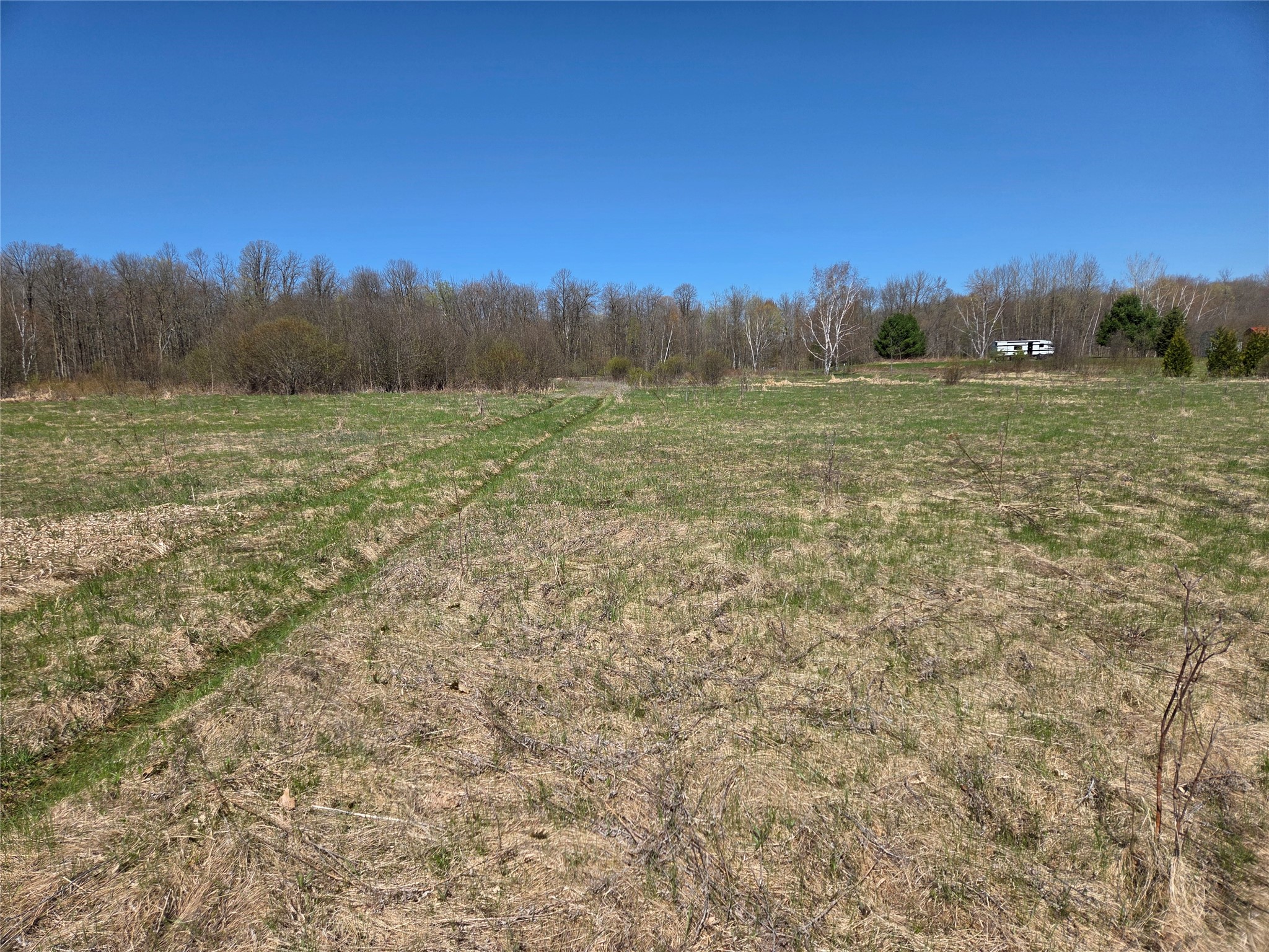 2975 12th Street Barronett WI 54813 - Butternut 1600774 image4