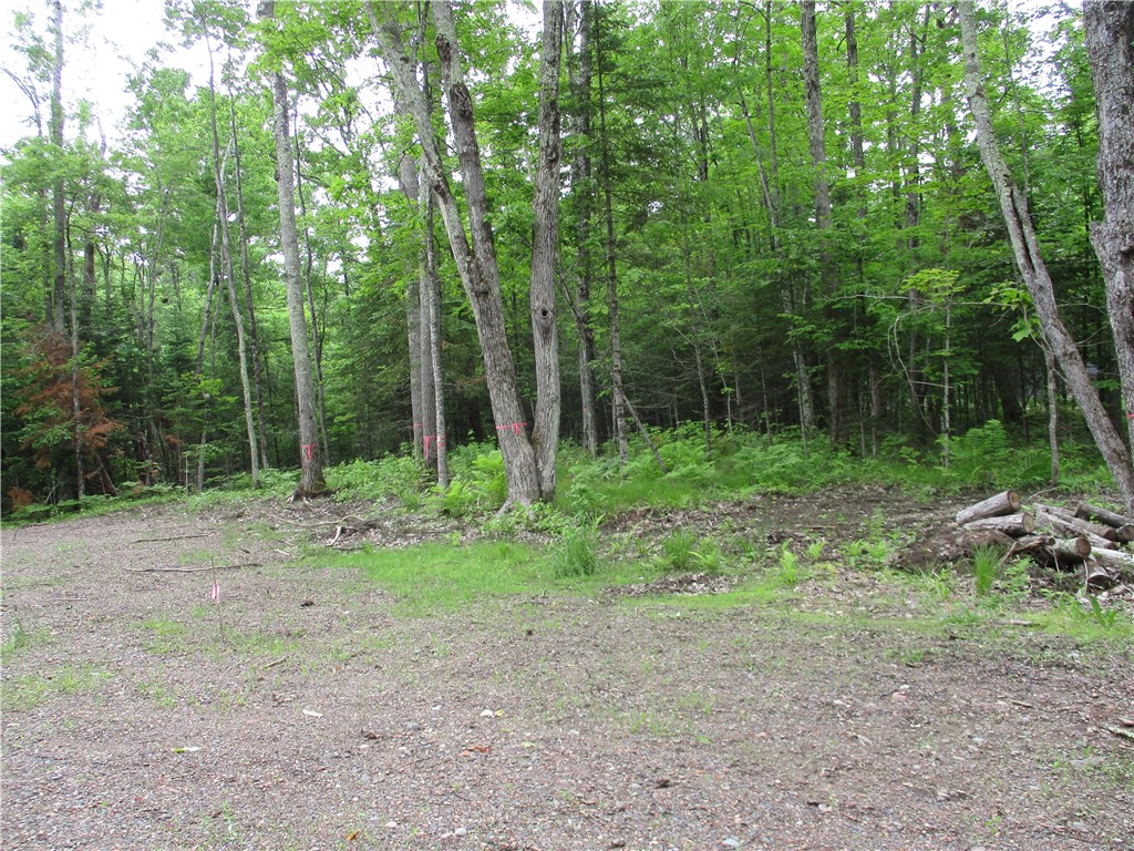 2975 28 1/2 Street Birchwood WI 54817 - Red Cedar 1592479 image2