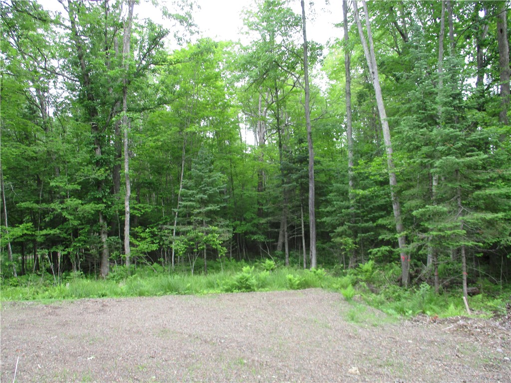 2975 28 1/2 Street Birchwood WI 54817 - Red Cedar 1592479 image4