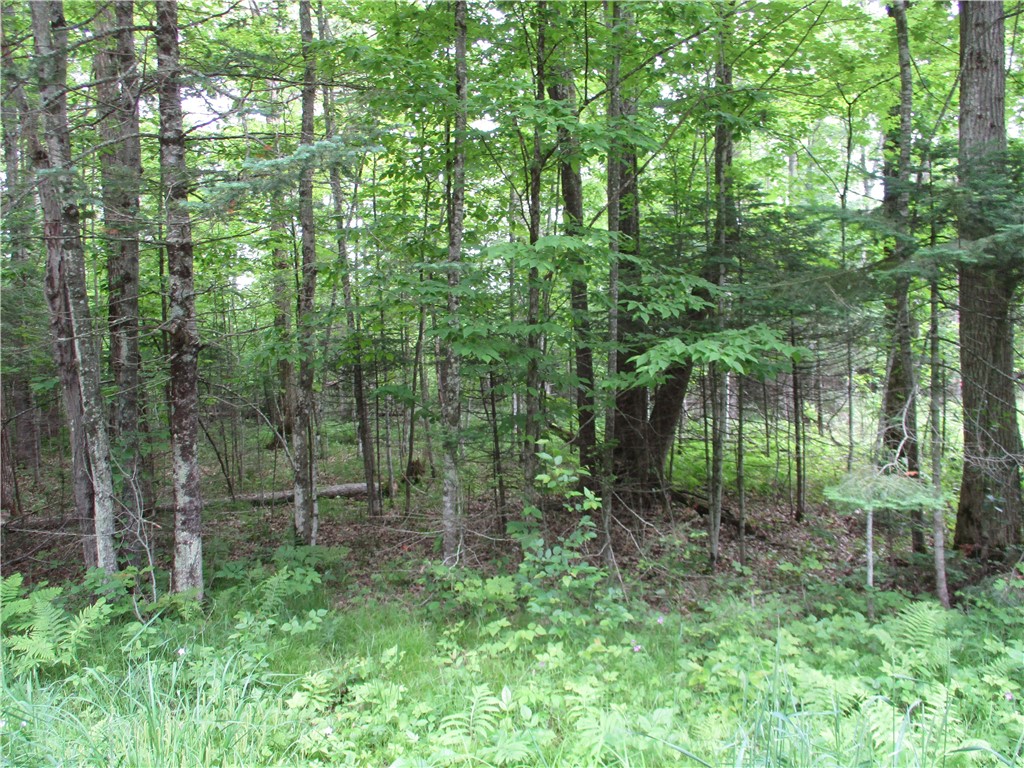 2975 28 1/2 Street Birchwood WI 54817 - Red Cedar 1592479 image7