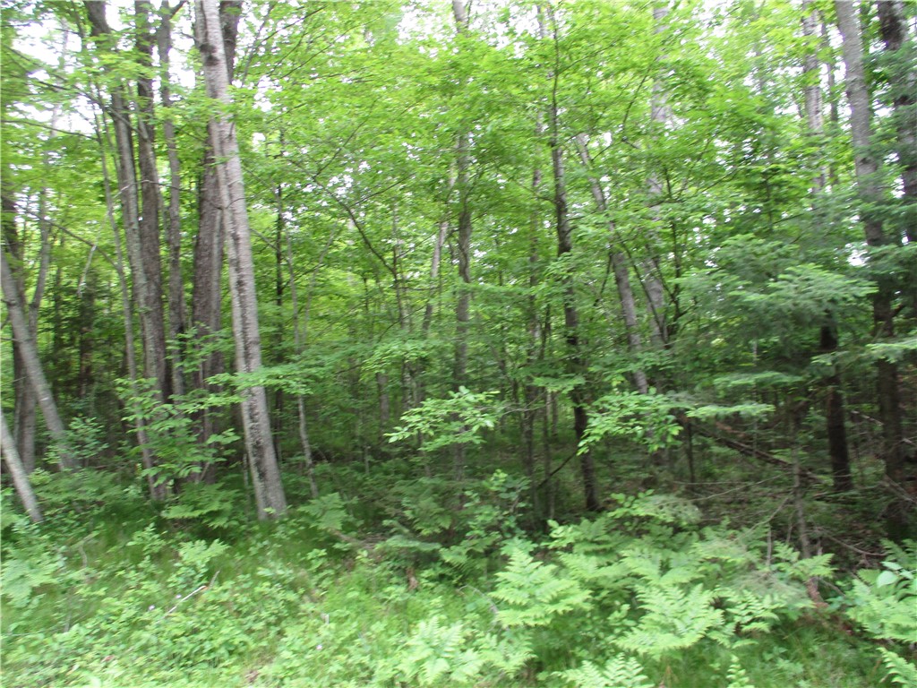 2975 28 1/2 Street Birchwood WI 54817 - Red Cedar 1592479 image8