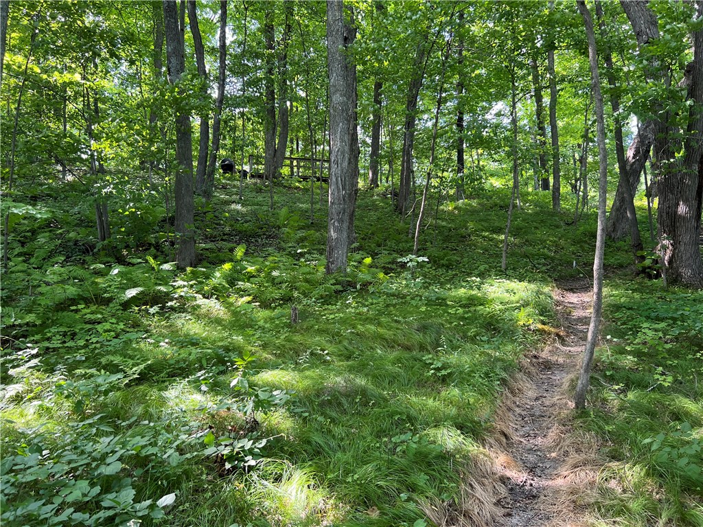 2977 27 7/8 Street Birchwood WI 54817 - Red Cedar 1598965 image11