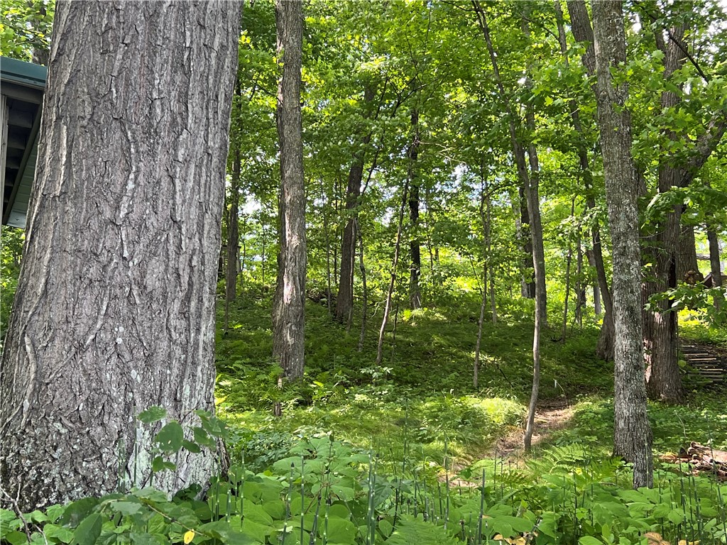 2977 27 7/8 Street Birchwood WI 54817 - Red Cedar 1598965 image12