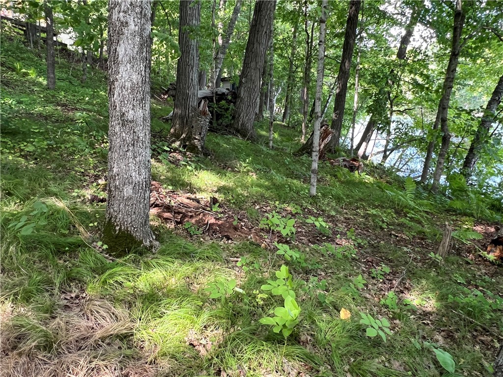 2977 27 7/8 Street Birchwood WI 54817 - Red Cedar 1598965 image14