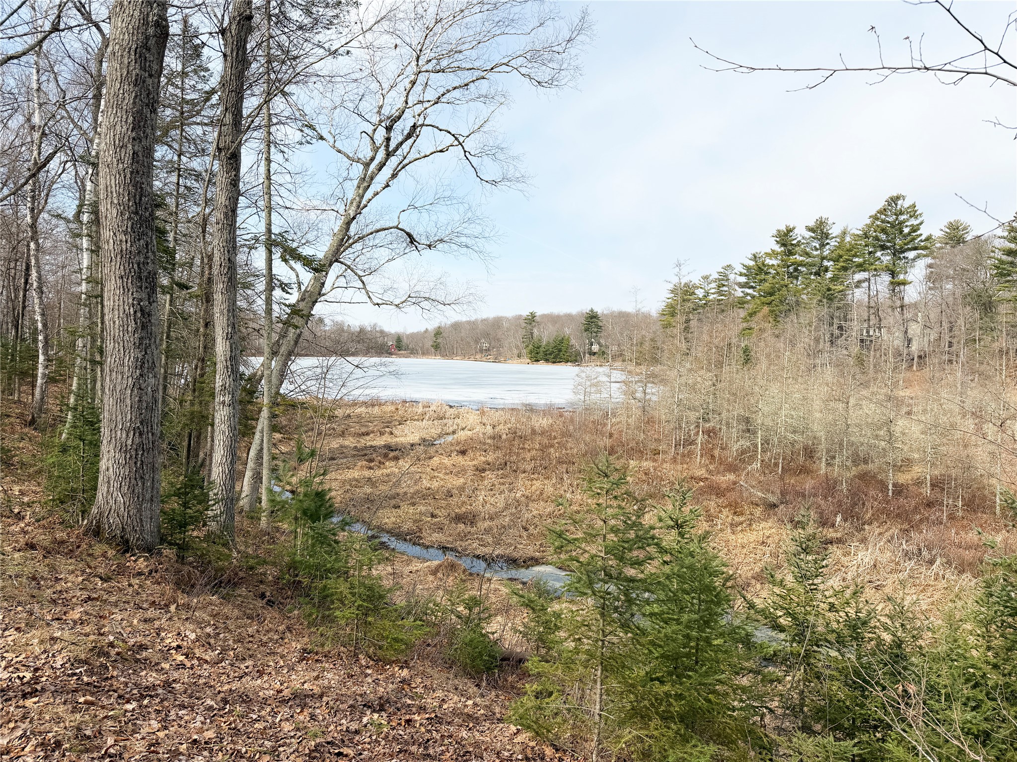 2978 28 7/16 Street Birchwood WI 54817 - Red Cedar 1599265 image3