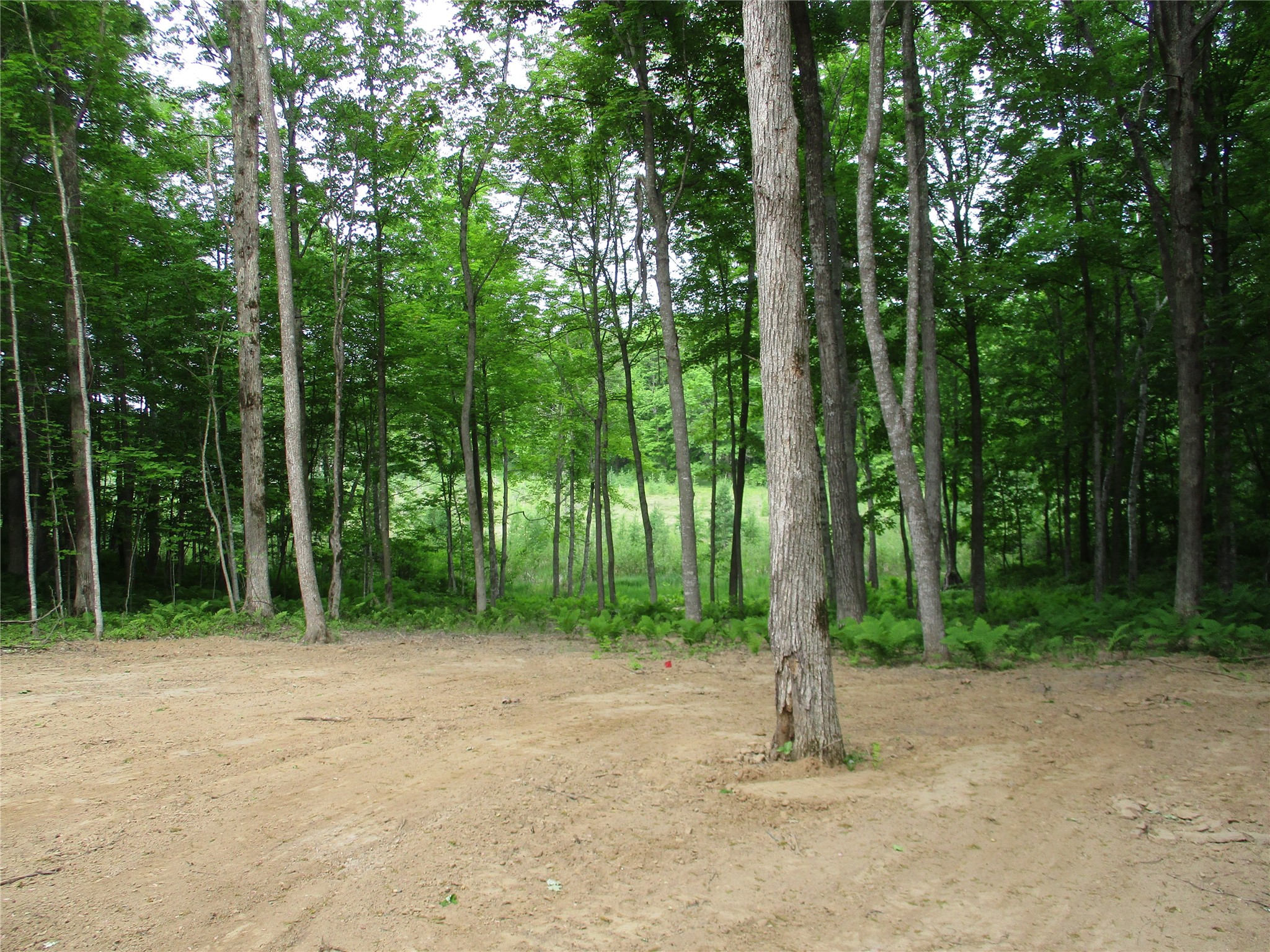 2982 Maple Way / 28 7/16 Avenue Birchwood WI 54817 - Red Cedar 1601859 image1