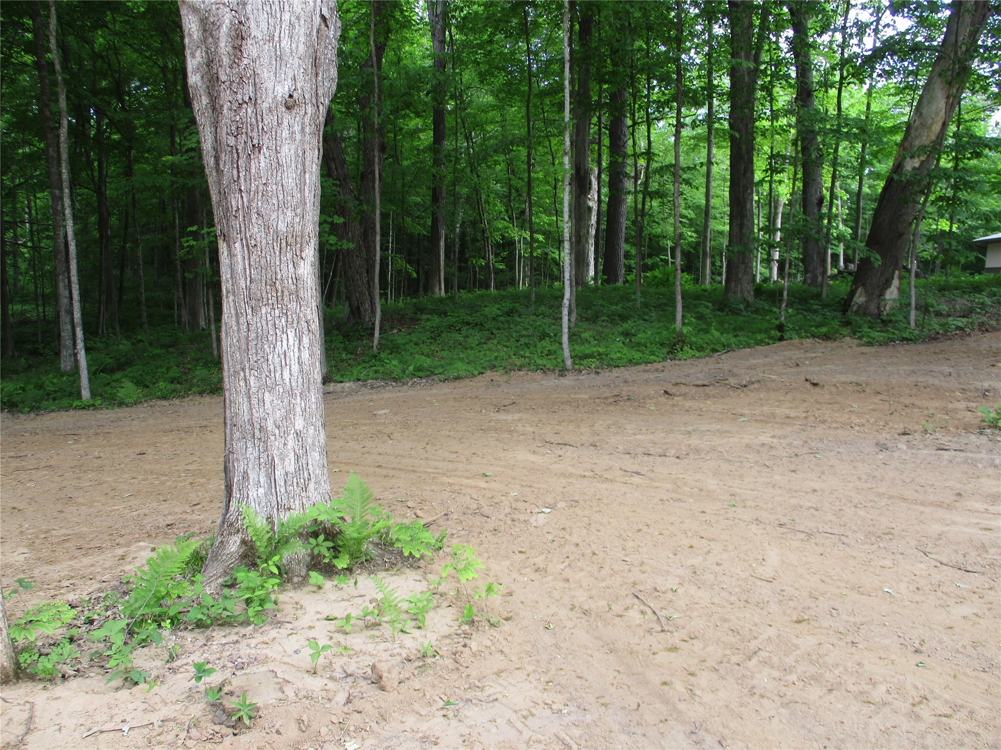2982 Maple Way / 28 7/16 Avenue Birchwood WI 54817 - Red Cedar 1601859 image3