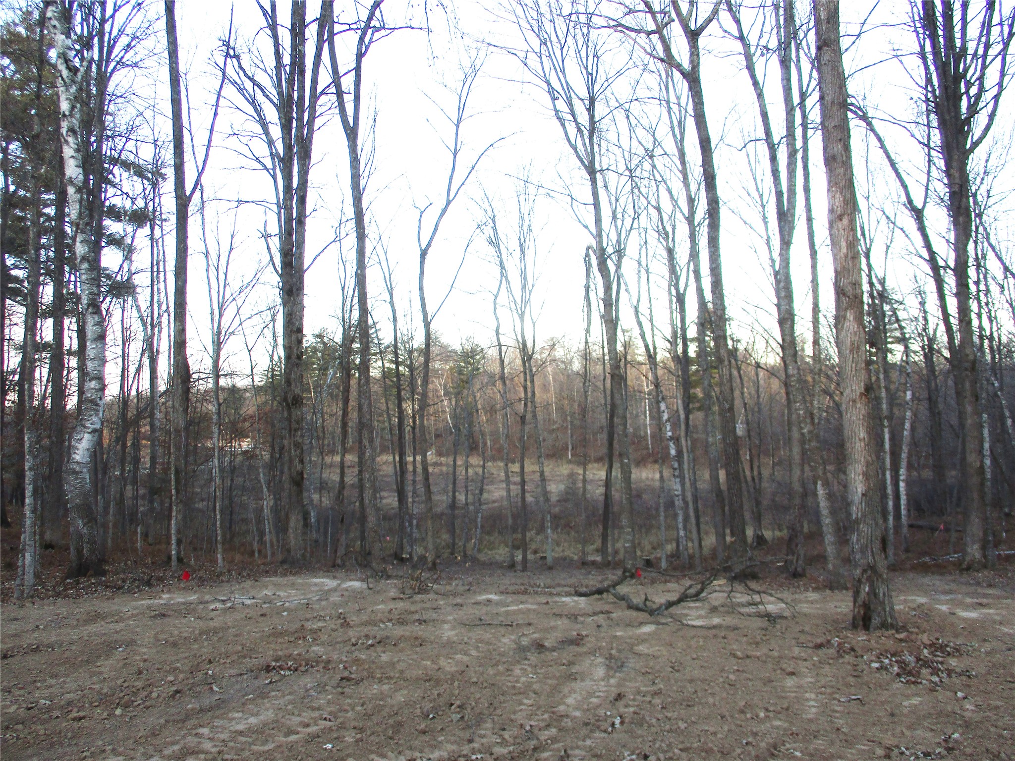 2982 Maple Way / 28 7/16 Avenue Birchwood WI 54817 - Red Cedar 1601859 image6