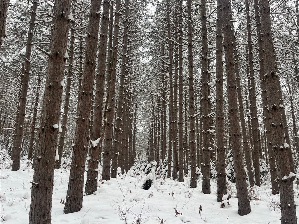 29931 Minerva Road Danbury WI 54830 1597693 image1