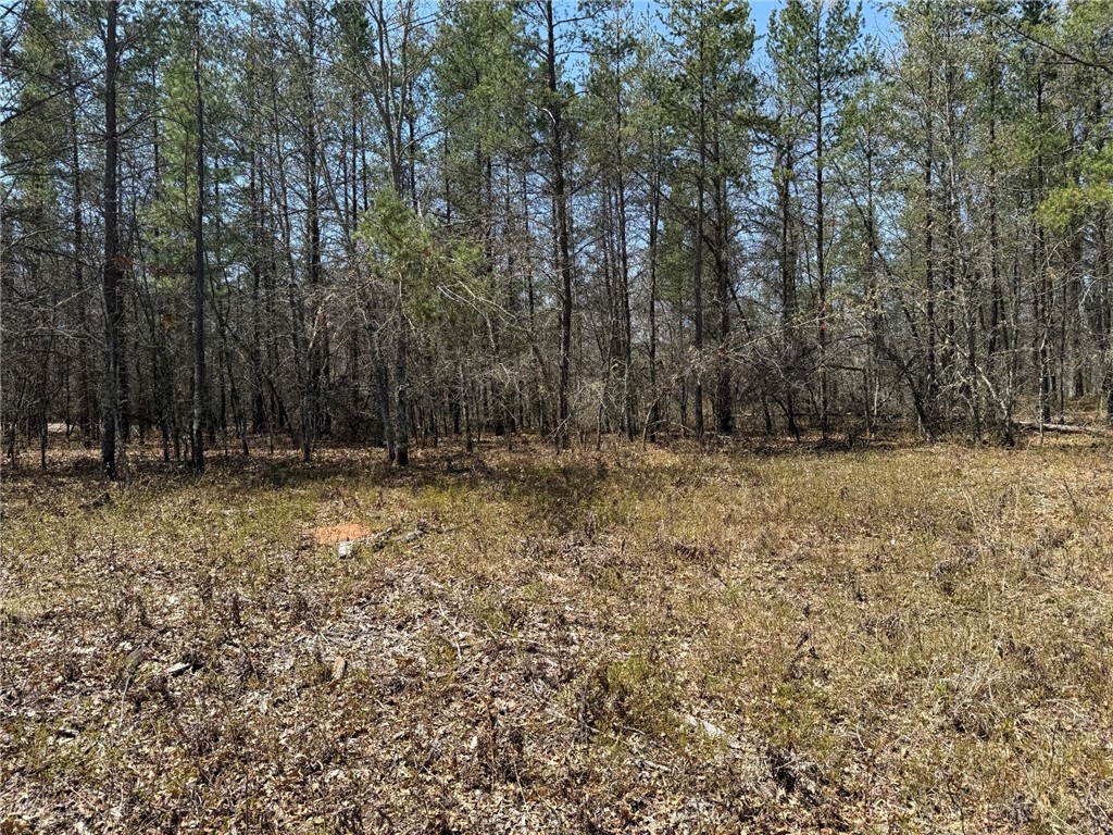 29941 N Bay Drive Danbury WI 54830 - Sanks Lake 1591343 image4