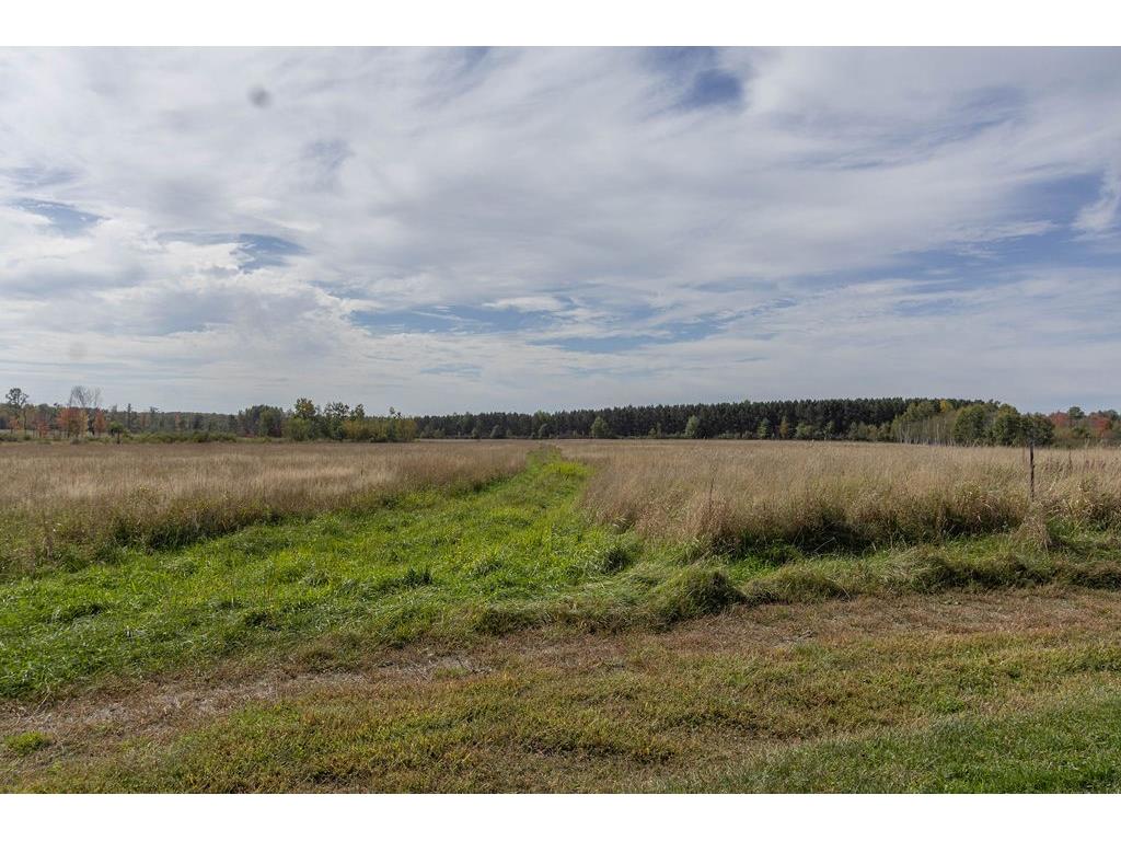 29969 County Hwy M Holcombe WI 54745 1596112 image39