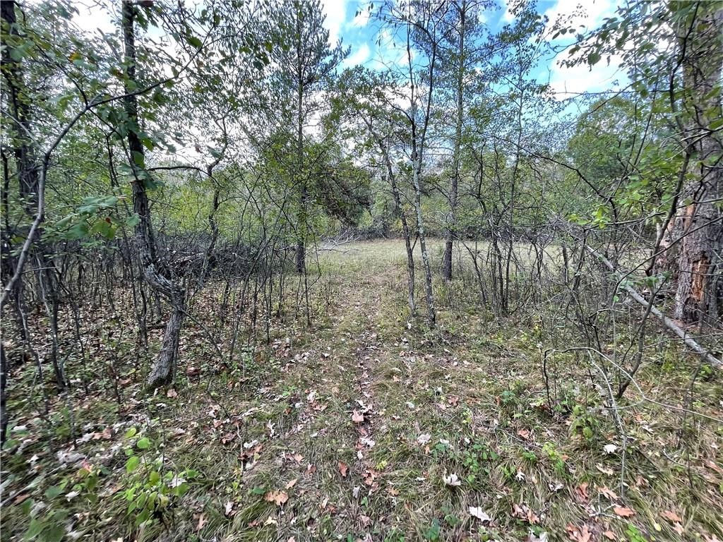 3 Acres 90th Street Eau Claire WI 54703 1590388 image4