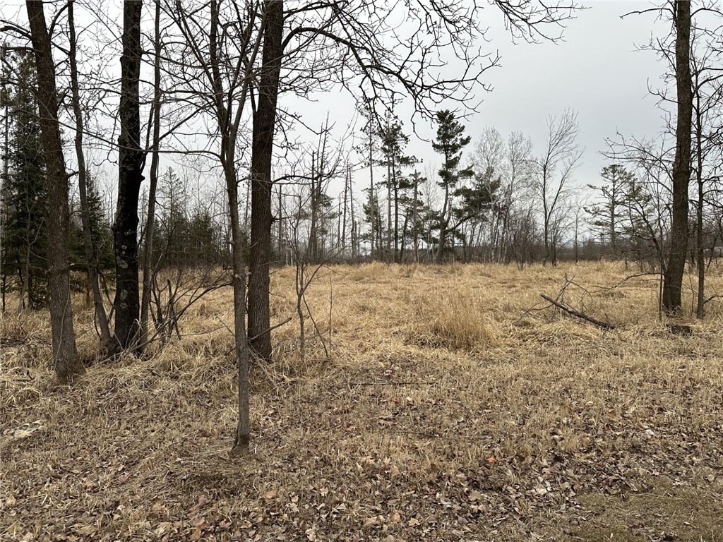 3 acres 7th Street Weyerhaeuser WI 54895 1589958 image1