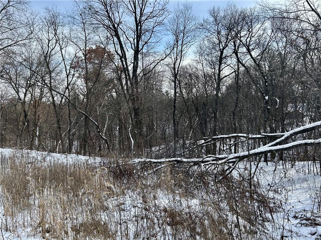 3004 Rosewood Lane, Eau Claire, WI, 54703 MLS 1579154 Edina Realty