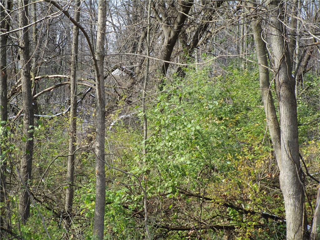 301 E 15th Street N Ladysmith WI 54848 1581052 image1