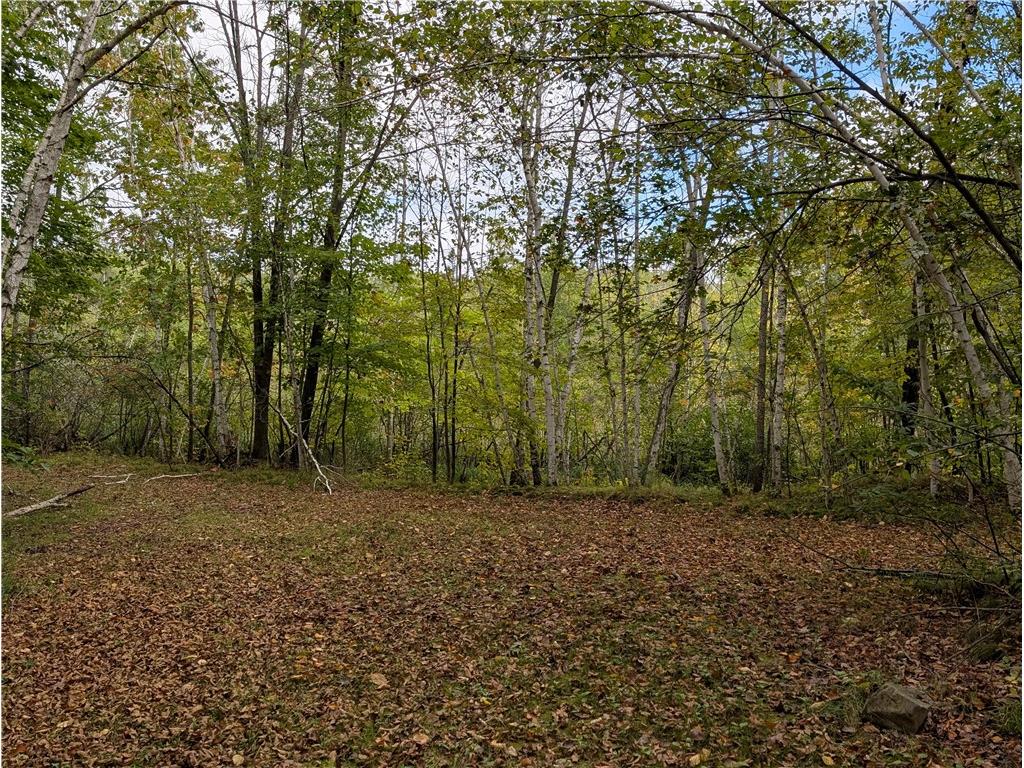 30129 136th Street New Auburn WI 54757 1595963 image12