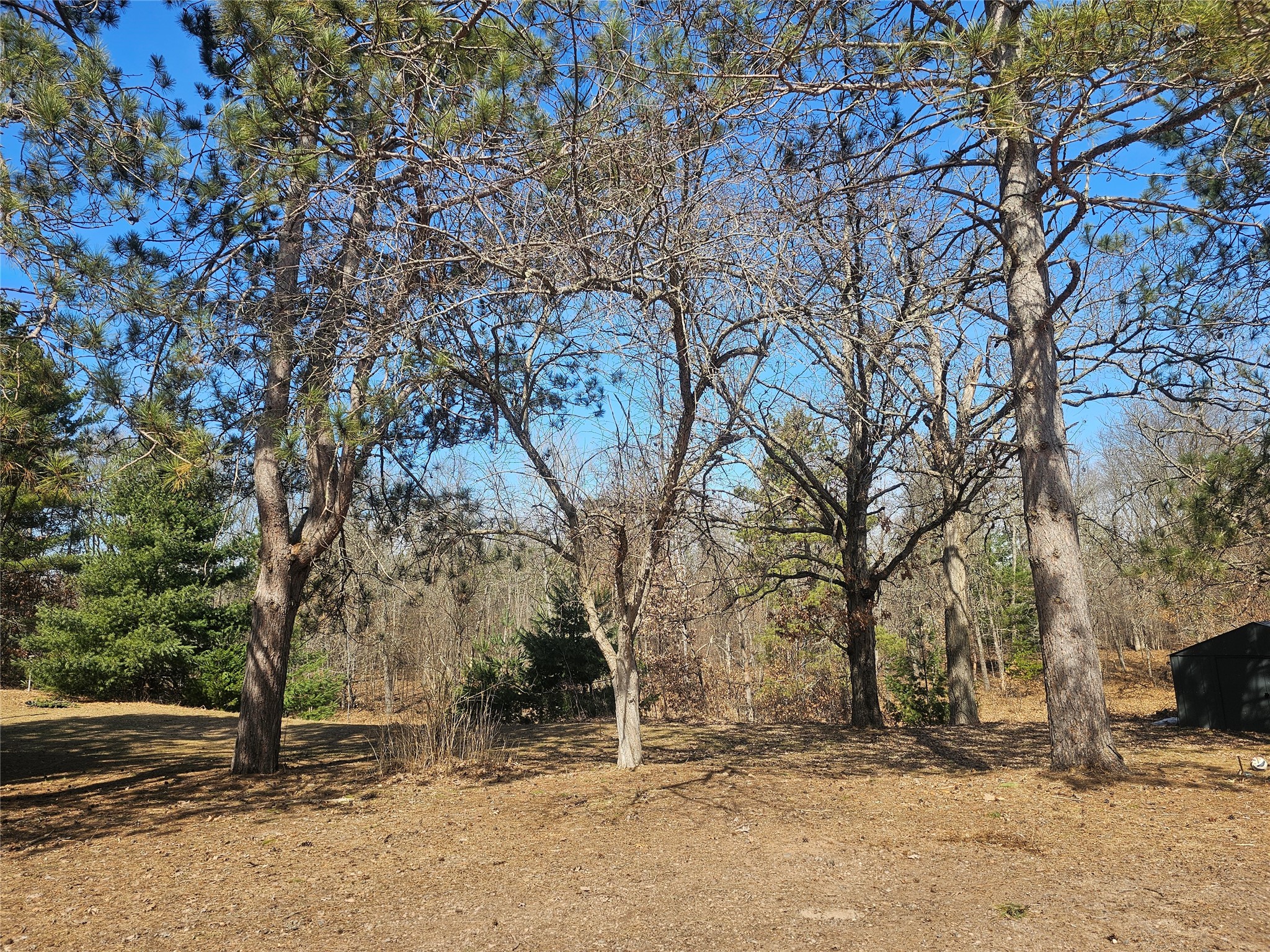 30284 N Nicaboyne Lake Road Danbury WI 54830 - Lost Lake 1598598 image9