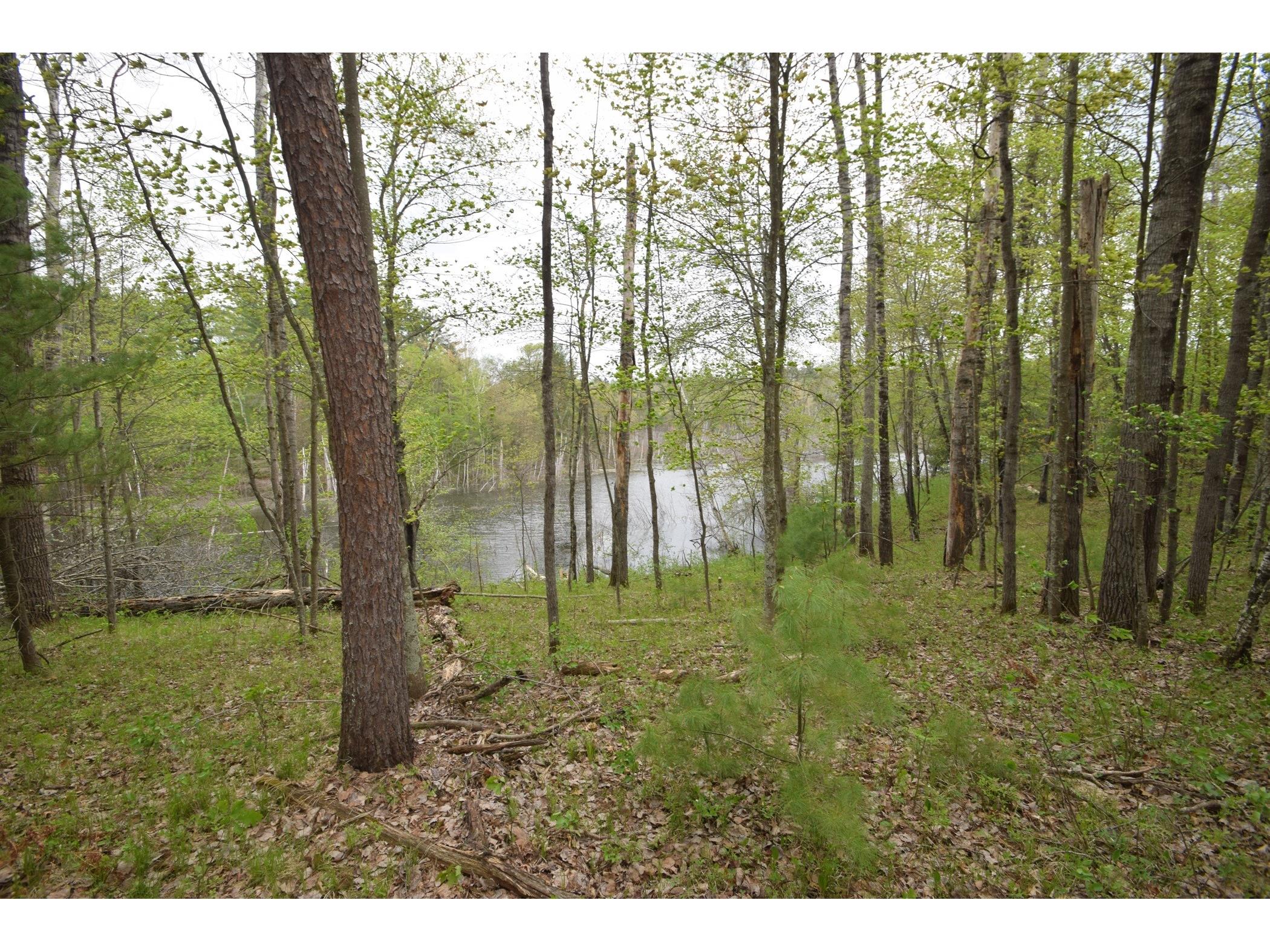 30349 Johnson Creek Trail Danbury WI 54830 - Johnson Creek 1601205 image44