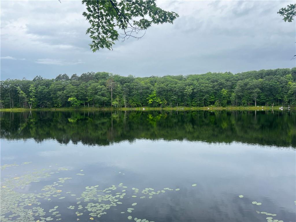 3091N Forest Road Birchwood WI 54817 - County Line 1584520 image1
