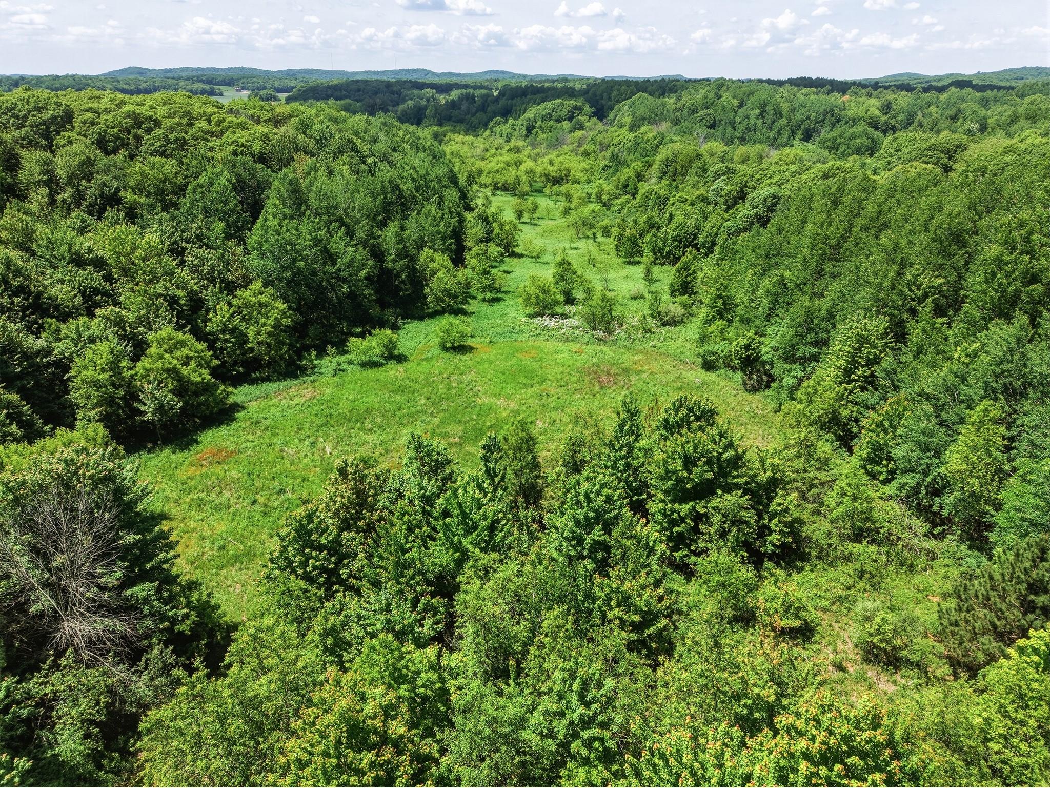 31.69 Acres 80th Avenue Colfax WI 54730 1600517 image13