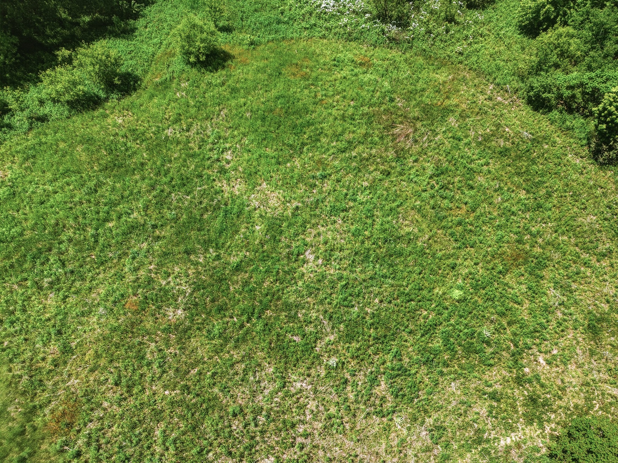 31.69 Acres 80th Avenue Colfax WI 54730 1600517 image14