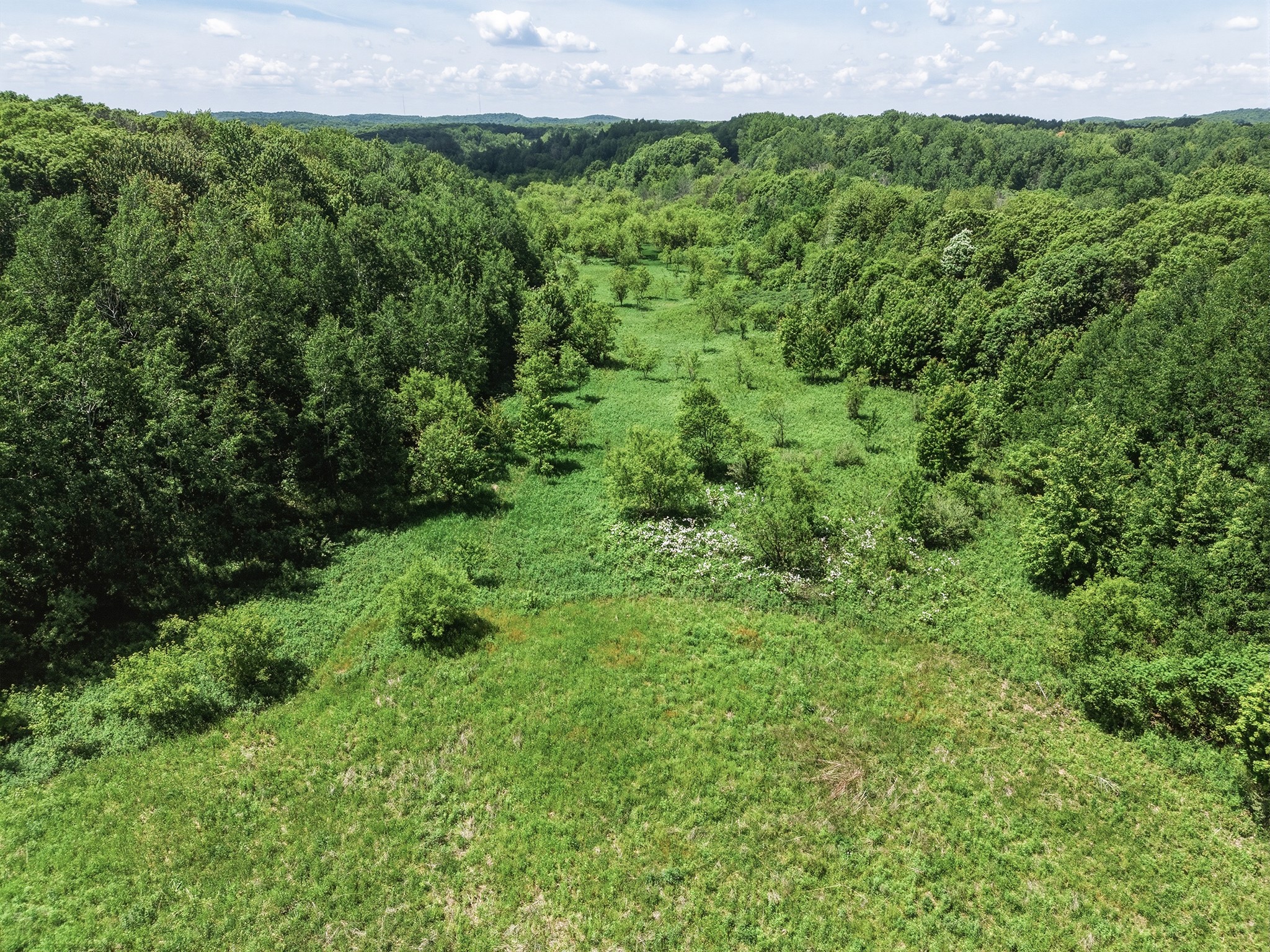 31.69 Acres 80th Avenue Colfax WI 54730 1600517 image15