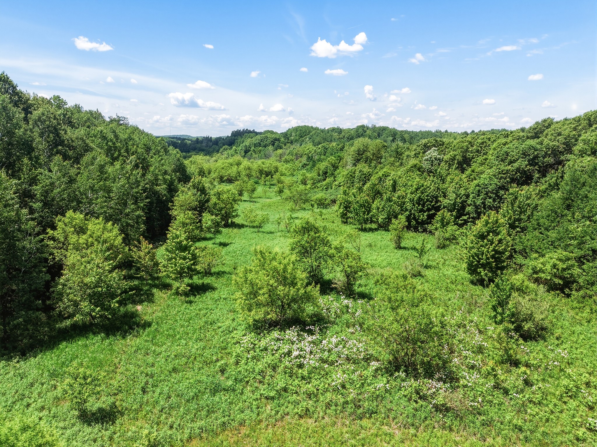 31.69 Acres 80th Avenue Colfax WI 54730 1600517 image16